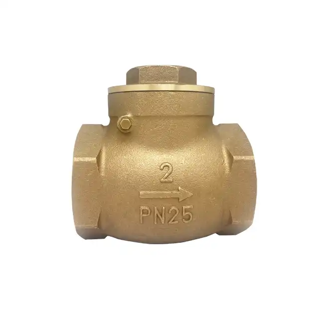 Brass Swing Check Valve